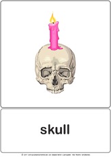 Bildkarte - skull.pdf